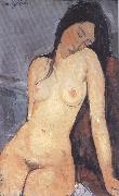 Amedeo Modigliani Seted Nude (mk39) china oil painting reproduction